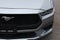 2024 Ford Mustang EcoBoost Premium Fastback