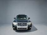 2010 Ford Escape Limited