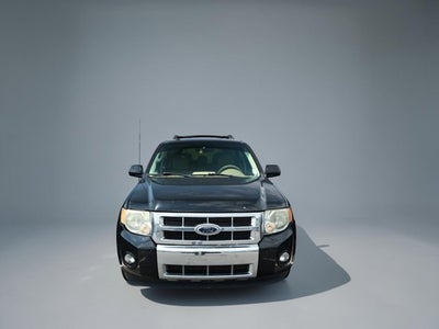 2010 Ford Escape Limited