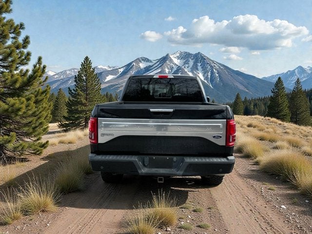 2017 Ford F-150 Platinum