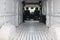 2024 RAM ProMaster 2500 Cargo Van Tradesman High Roof 159' WB w/Pass Seat